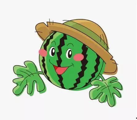 吃瓜表情包西瓜视频大全,吃瓜表情包欢乐集结