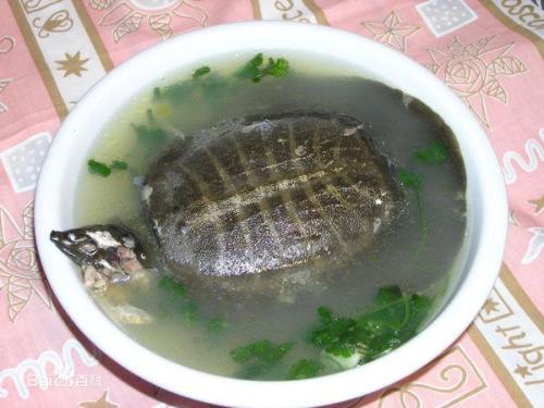 刘大瓜吃甲鱼视频,现场趣味横生！