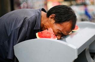 美国流浪汉吃瓜事件视频,一场吃瓜引发的社交风暴