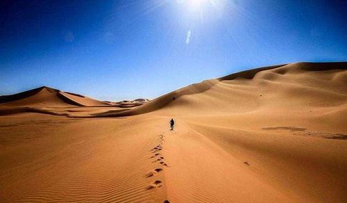 在沙漠吃沙漠瓜会死吗视频,揭秘沙漠中吃瓜的生死考验