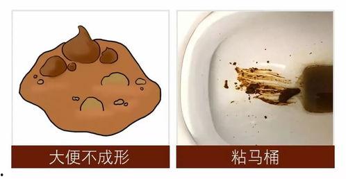 吃瓜能防大便干吗视频,揭秘瓜果防便秘的秘密