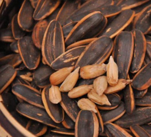 西子瓜的瓜子可以吃吗视频,美味可口的天然零食之旅