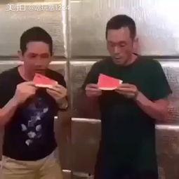 播放搞笑吃瓜视频全集,带你领略欢乐盛宴