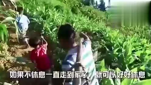 药兜解说吃瓜视频,揭秘吃瓜视频中的健康真相