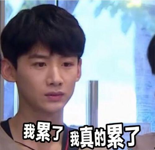 沙雕吃瓜视频,揭秘娱乐圈幕后趣闻