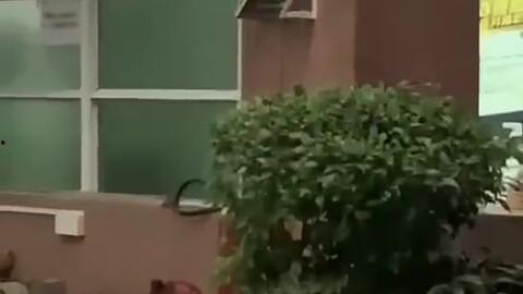 青海最新吃瓜新闻视频大全,精彩瞬间不容错过