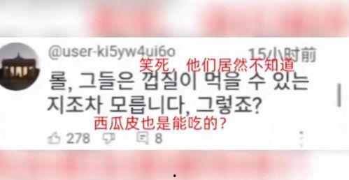 韩国看猪吃瓜视频网站,揭秘网络娱乐新潮流