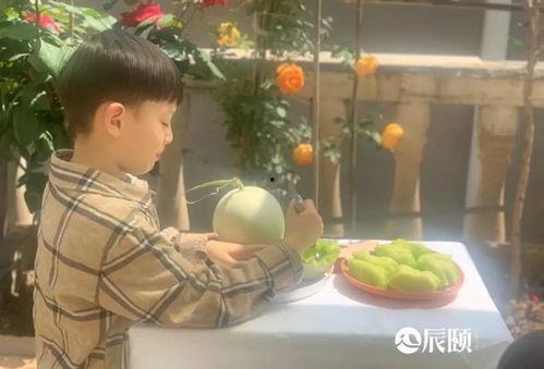 吃玉菇蜜瓜视频,一尝倾心，甜蜜满溢