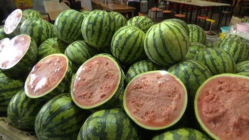 自由拥抱吃瓜视频