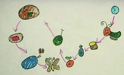 吃瓜的小蝴蝶怎么画的视频,轻松绘制可爱瓜果图